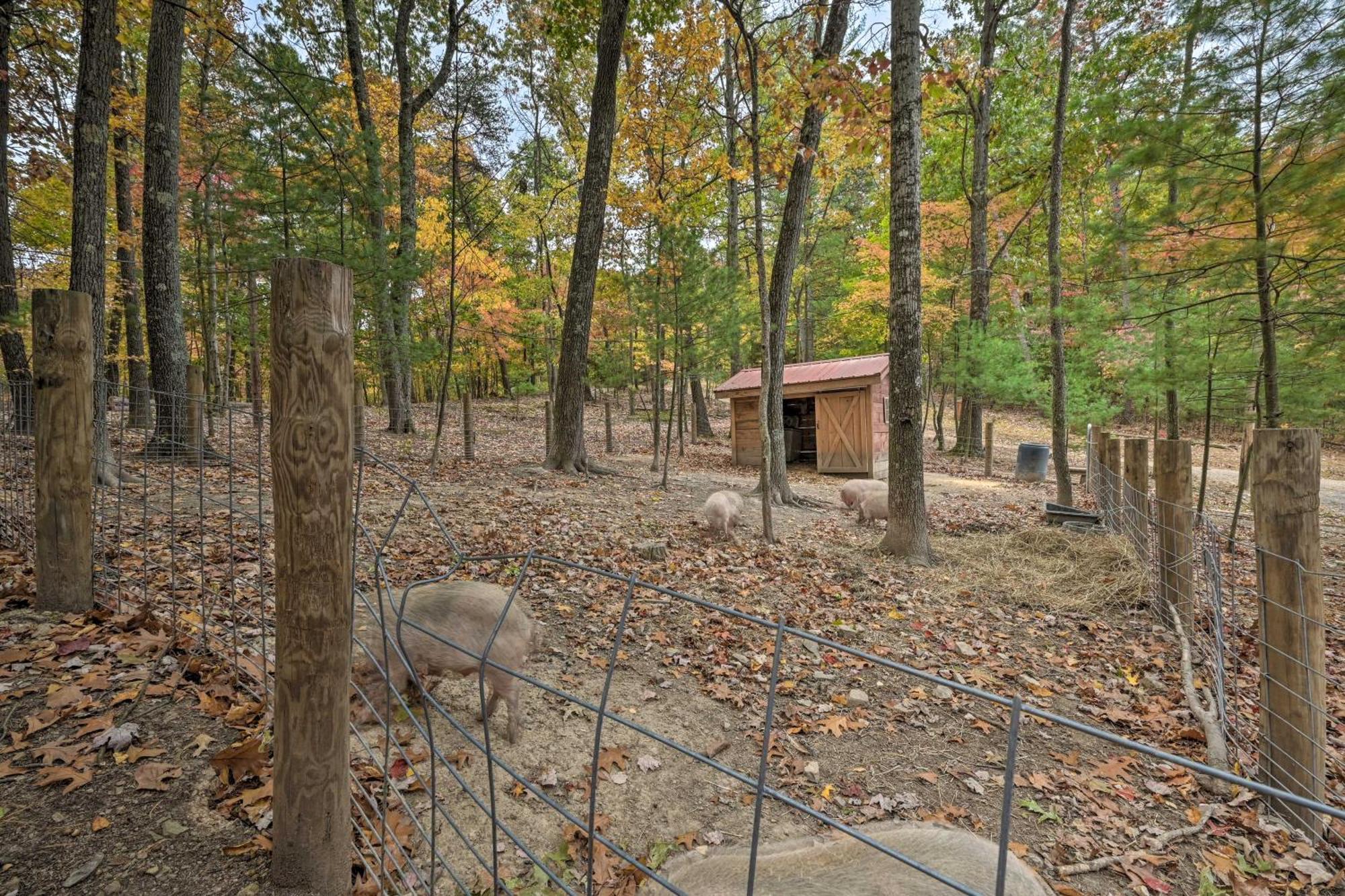 Lone Ranger Cabin With 50 Acres By Raystown Lake Huntingdon Exterior foto