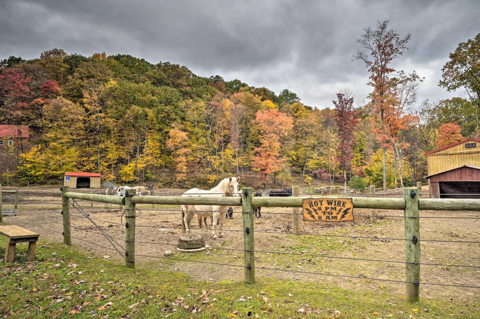 Lone Ranger Cabin With 50 Acres By Raystown Lake Huntingdon Exterior foto